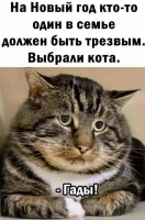 изображение_2024-01-13_134914434.png